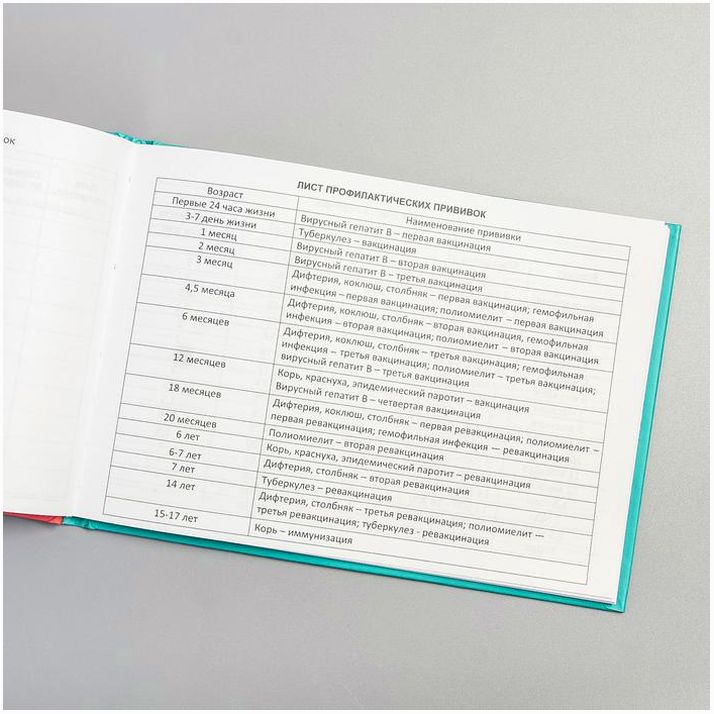 Картинка Медицинская карта «История развития ребёнка», Минни Маус, 40 листов (№4717663) от магазина Мир детей Товары для Новорожденных