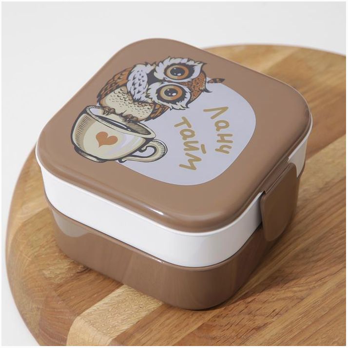 № 3749765 Контейнер для обеда IDEA «Совы», 2 отделения, 400 мл