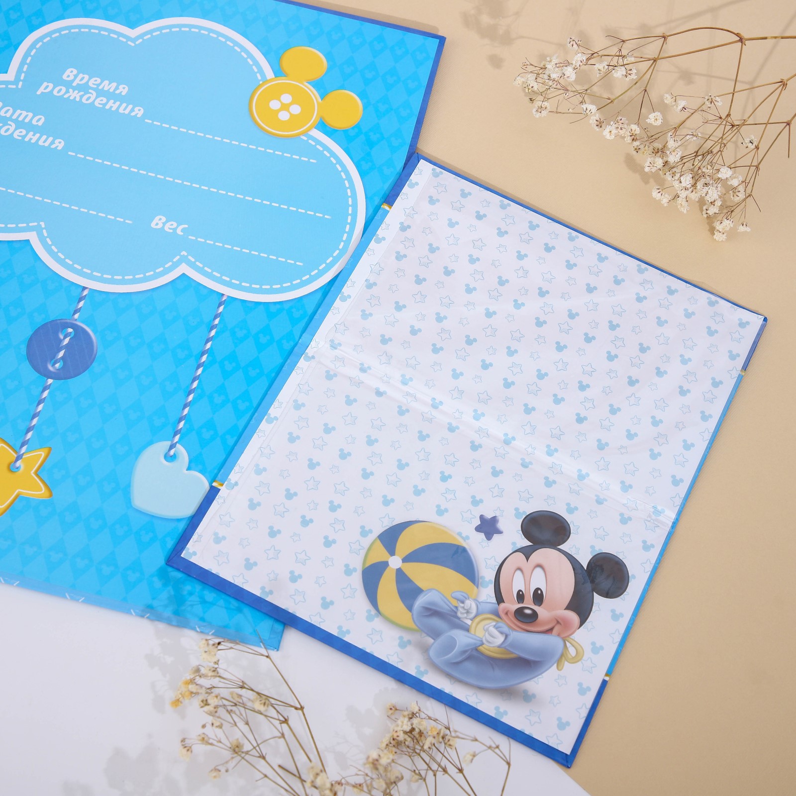 Картинка Обложка для документов набор "Мои первые документы", Микки Маус (№4129252) от магазина Мир детей Товары для Новорожденных