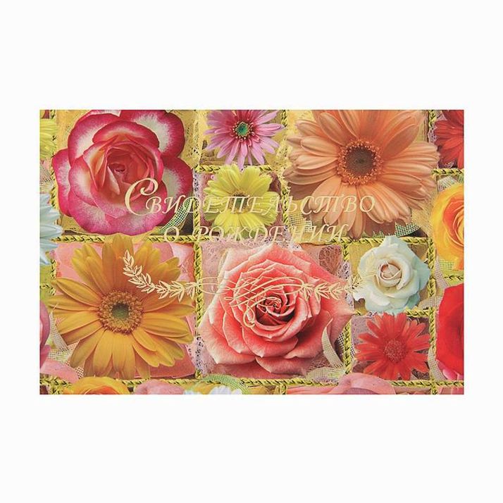 Свидетельства о рождении 