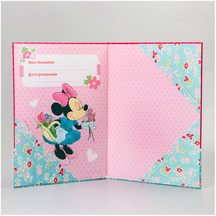 № 3880981 Обложка для документов 