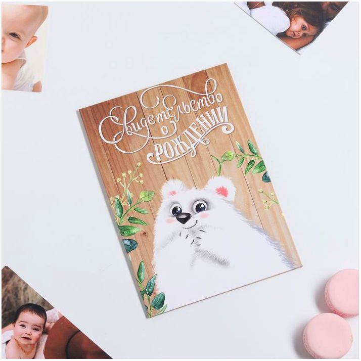 Папка для свидетельства о рождении «Миша», А5 артикул анонс 4004637