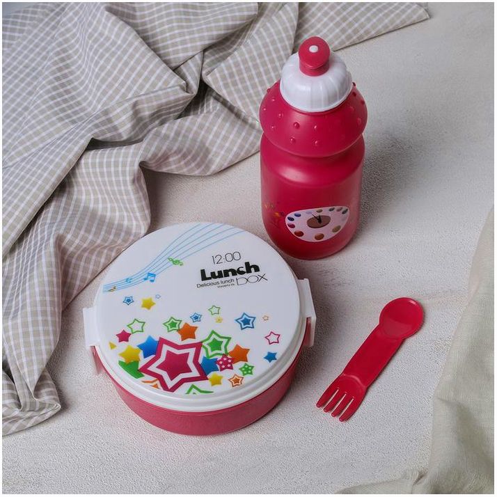 Набор из ланч-бокса и бутылки 250/250 мл 